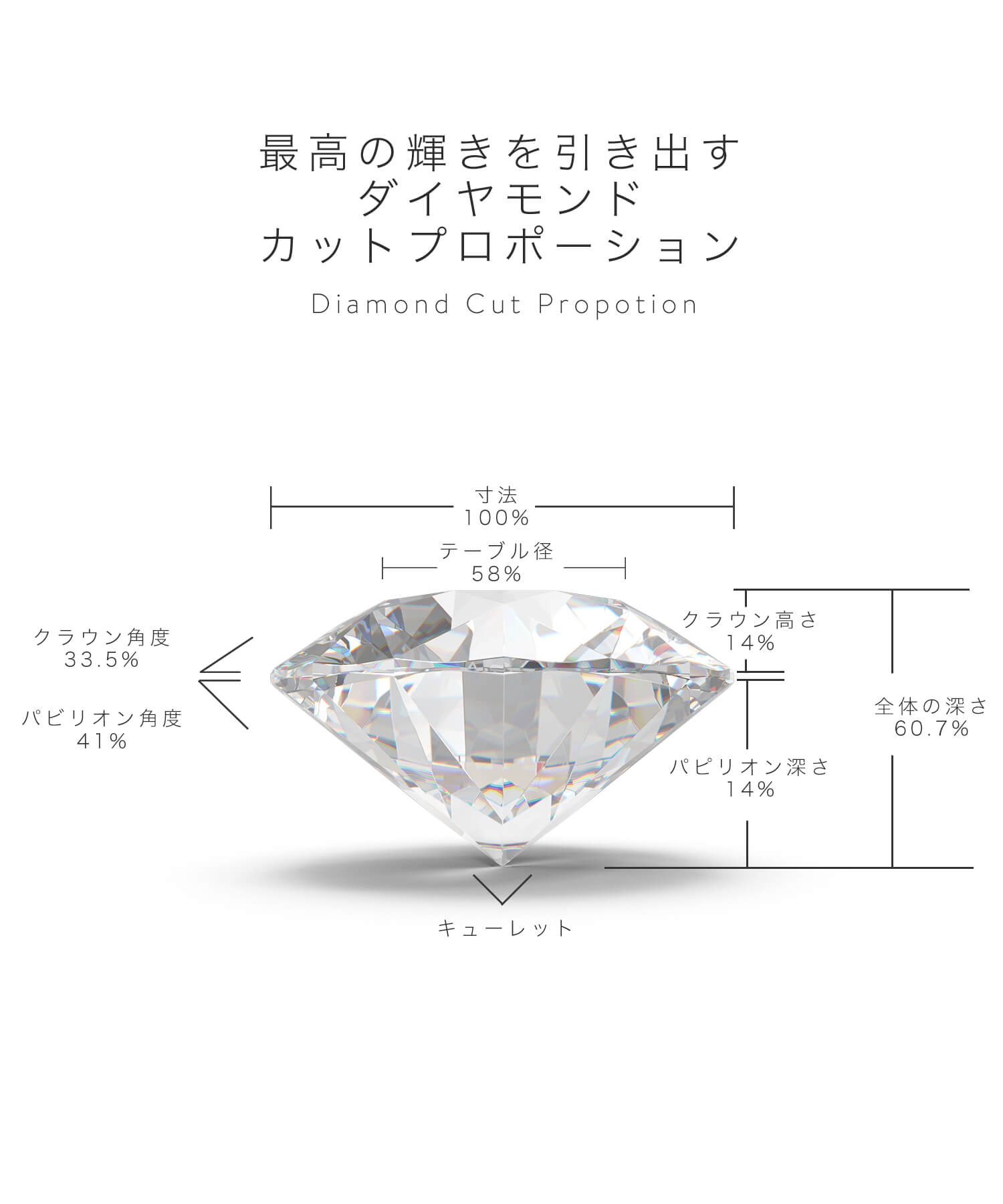 ダイヤモンド 一粒 ピアス 18K プラチナ