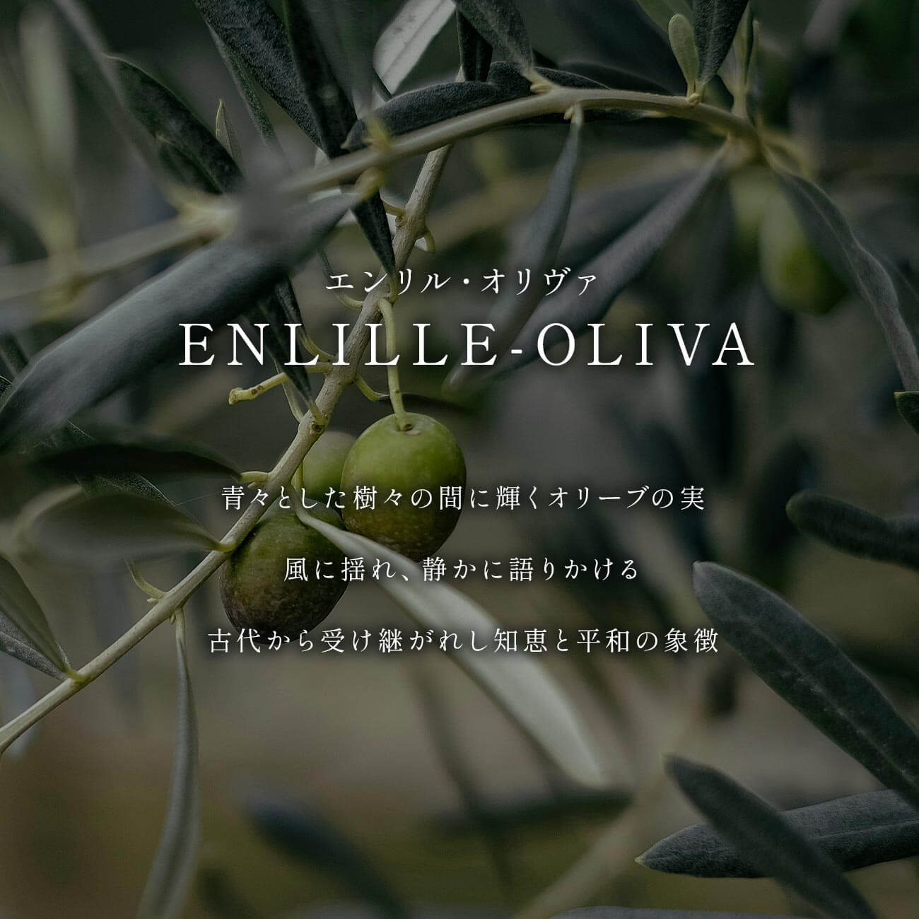 ペリドット ピアス 18金 18k 金 天然石 【enlille-oliva エンリル ...