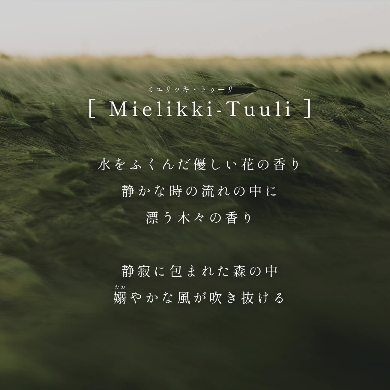 指輪 レディース おしゃれ リング 太め 【mielikki-tuuli-ring ...