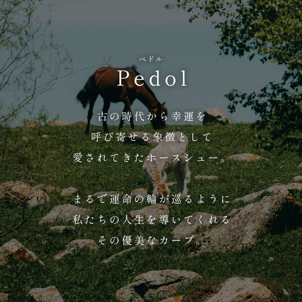 ピアス 金属アレルギー フープ 大きめ シルバー 【 PEDOL ペドル】 揺れる ピアス ホースシュー 馬蹄 シルバー925 円 大きい 大ぶり フックピアス マット ピアス ゴールド オーバル ピアス ドロップ 個性的 流行 人気 シンプル カジュアル 大人