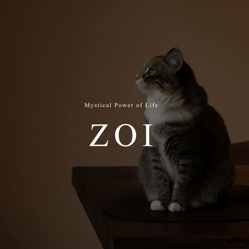 K10 ゴールド ネコ 猫 ダイヤ ピアス ZOI-CAT -ゾイシリーズ- | Ops