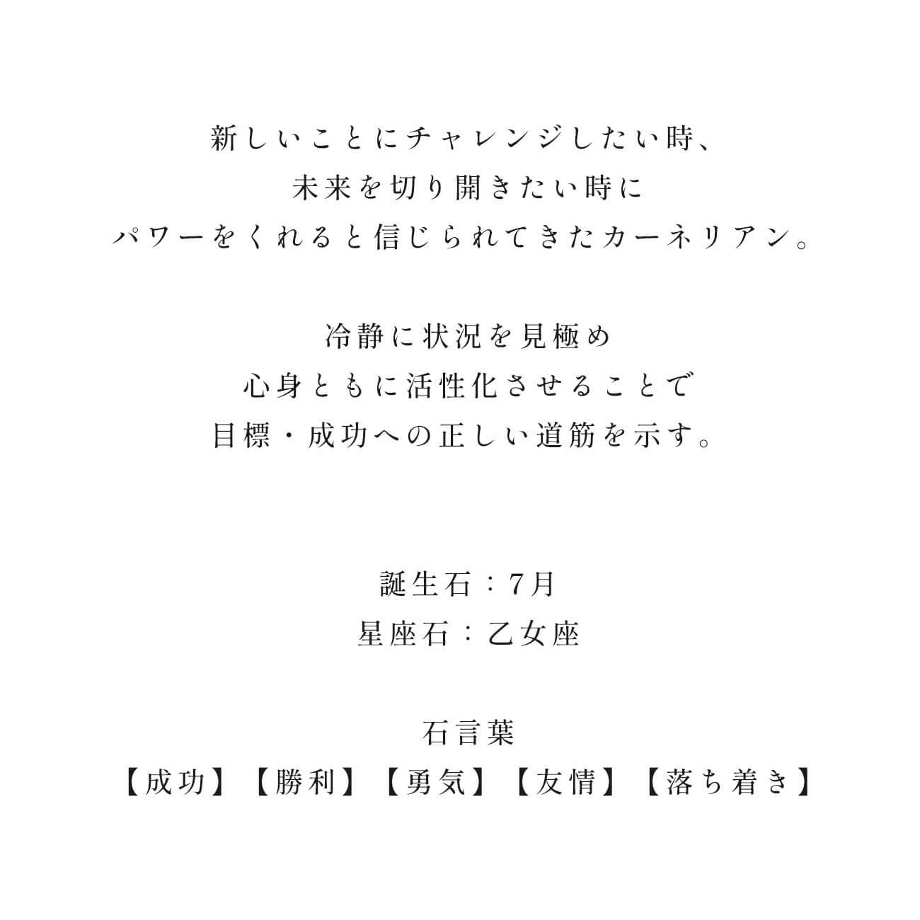 フックピアス天然石金属アレルギー対応【tresor-penta-peトレゾール・ペンタ】ピアス10K10金k10オレンジカーネリアンブラックオニキスピアス小さめ小揺れる小ぶり六角形ピアスエレガントかわいい石パワーストーンお守り繊細