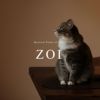 10Kネックレスチェーンゴールドレディースシンプル【zoi-cat-nkゾイ・キャット】K1010金ネックレス猫ネコアクセサリー華奢繊細スキンジュエリー小ぶり20代30代40代ネックレス普段使い40cmゴールドネックレス細め金アレ対応イエローゴールド