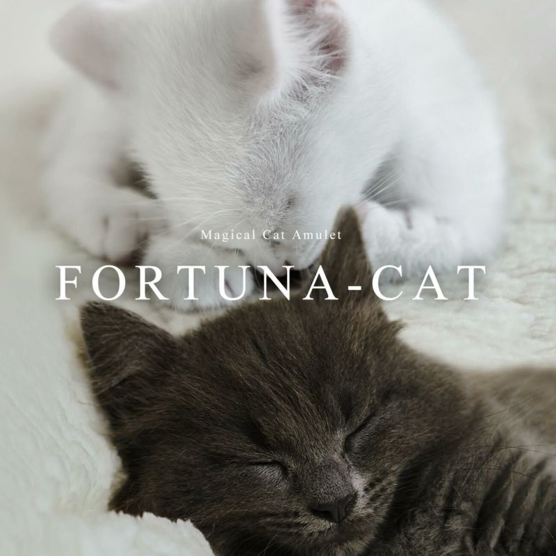 売上を医学研究寄付】 猫 パール【fortuna-cat-r フォルトゥナ