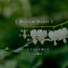 ピアスハートチェーンピアス金属アレルギー対応【mellow-heart-chain-peメロウ・ハートチェーンピアス】大ぶりピアスシルバーシルバー92518K仕上げピアス揺れるかわいいゴールド大ぶりk18大きめピアス18金ニッケルフリー40代レディースファッション