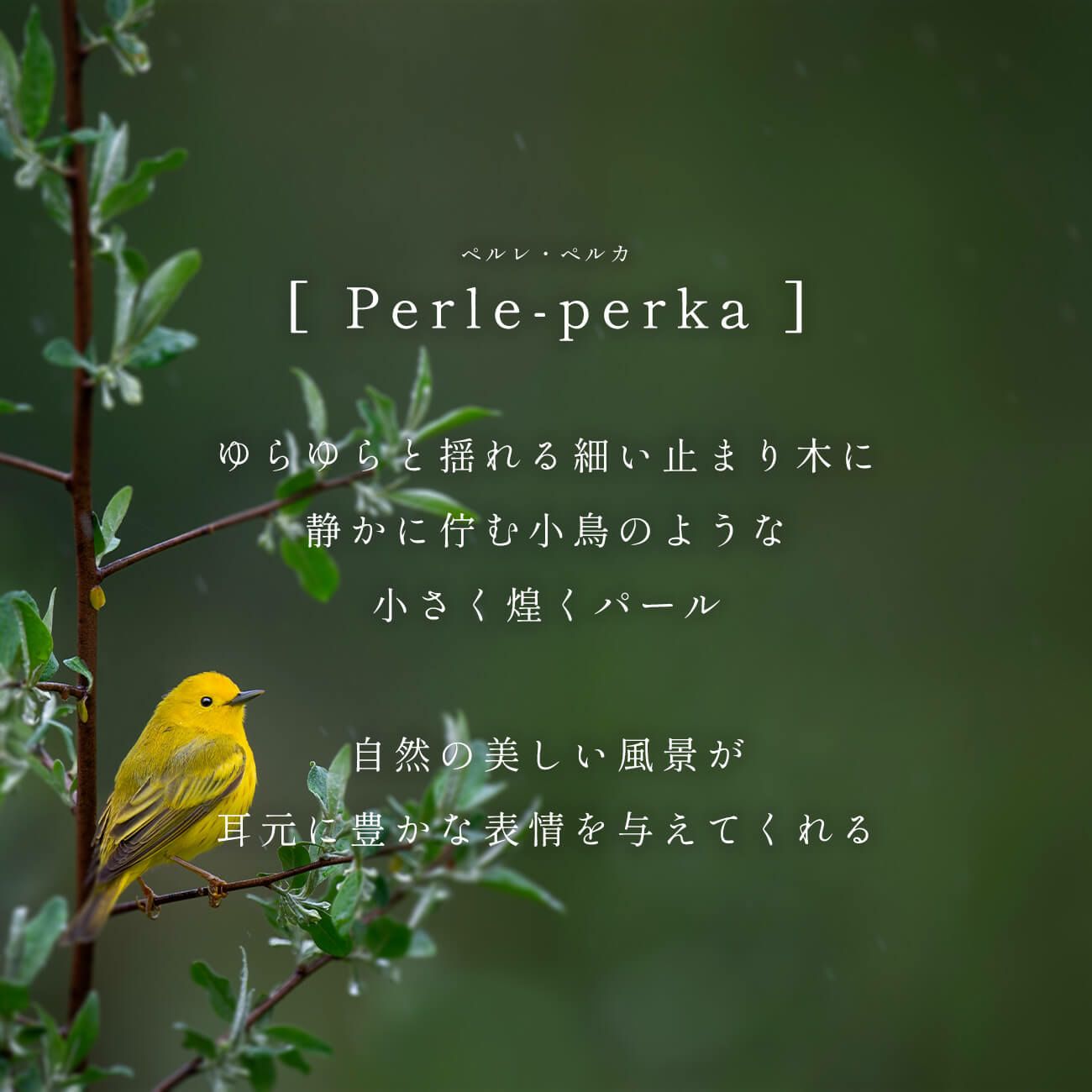 パールピアス揺れるフープ【perle-perkaペルル・ペルカ】淡水パールフープピアスゴールド細いピアス金属アレルギー対応10金パールピアスK1010K真珠ピアス普段使い誕生日プレゼント女性かわいい20代30代40代50代母親60代70代義母