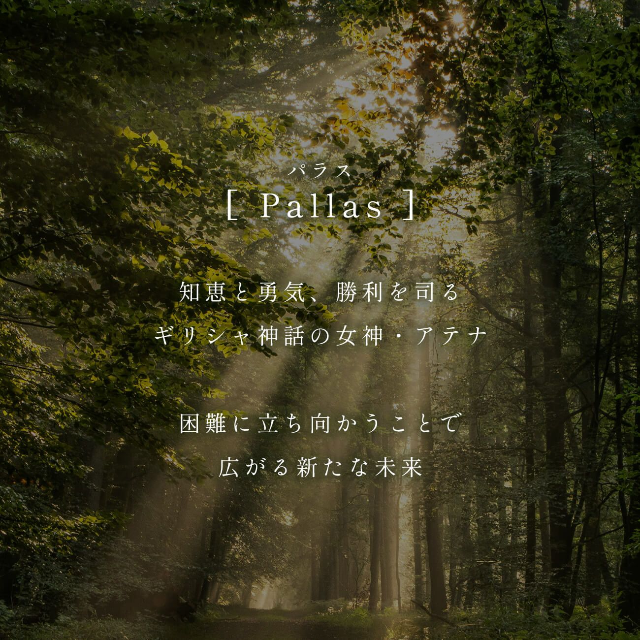 ブレスレットレディースおしゃれカジュアルゴールドk18仕上げ【pallasパラス】シルバー925メンズブレスレット18K18金ブレスレット18cmブレスレットメンズブレスレット20代30代40代50代プレゼント誕生日女性友達男性プレゼント交換クリスマス