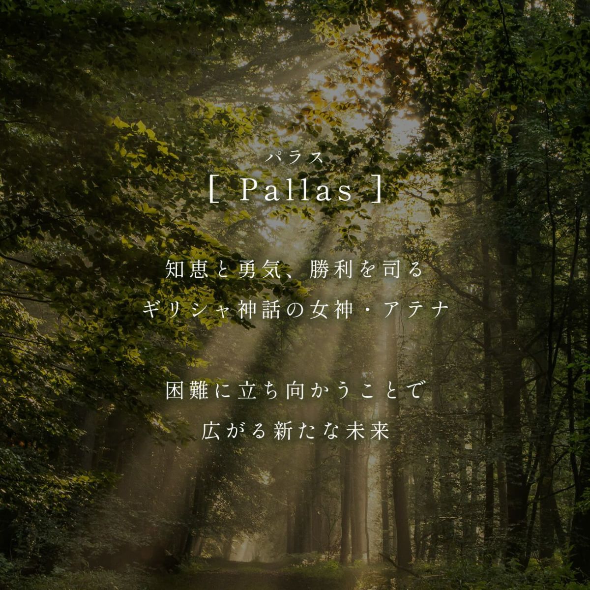 ブレスレットレディースおしゃれカジュアルゴールドk18仕上げ【pallasパラス】シルバー925メンズブレスレット18K18金ブレスレット18cmブレスレットメンズブレスレット20代30代40代50代プレゼント誕生日女性友達男性プレゼント交換クリスマス