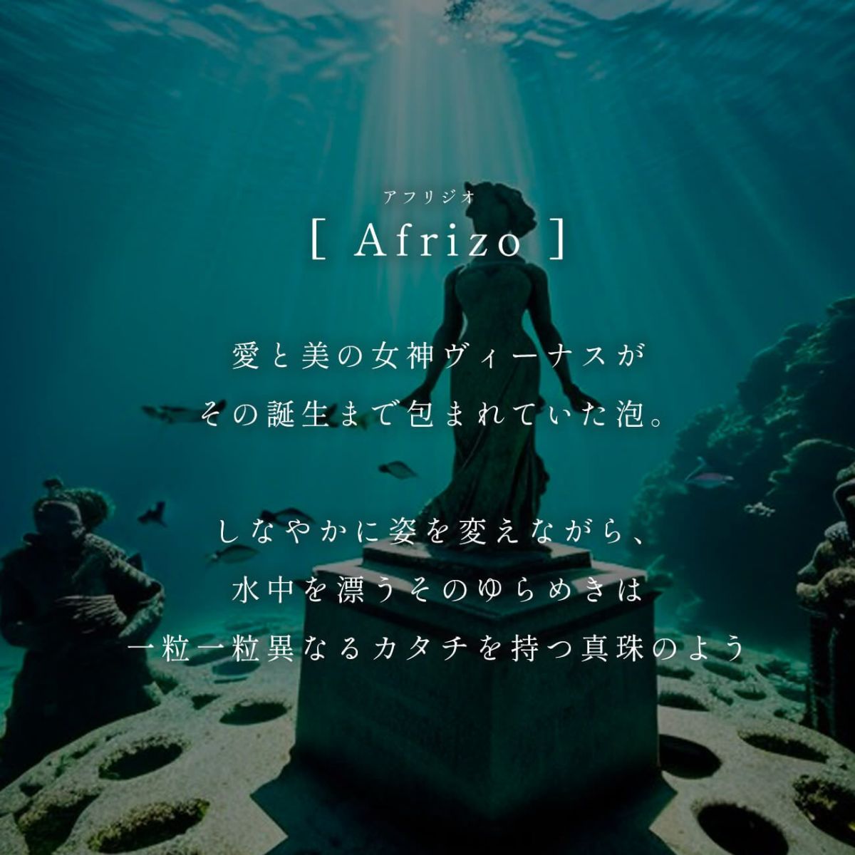 【訳ありアウトレット品】★通常価格→アウトレット価格 パール ピアス 揺れる ぶら下がり シルバー925 金属アレルギー対応 フープ 【Afrizo-Tva アフリジオ・トヴォ】 ピアス 18k 仕上げ 真珠 ピアス 普段 使い シルバー ゴールド ピアス ニッケルフリー シンプル ピアス