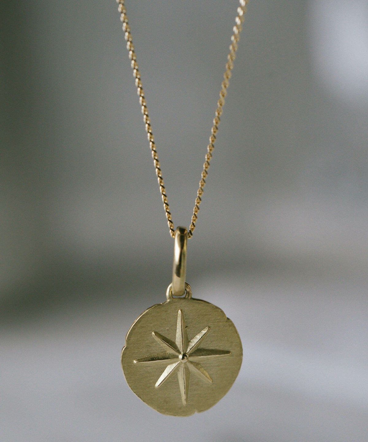 コインネックレスK1010Kレディースライオンアニマルモチーフ【rafolio-leoneラフォリオ・レオネ】コインネックレス金貨メダル10金リバーシブルネックレスゴールドネックレスゴールドペンダント丸ラウンド金属アレルギー対応小豆チェーン長さ45cm