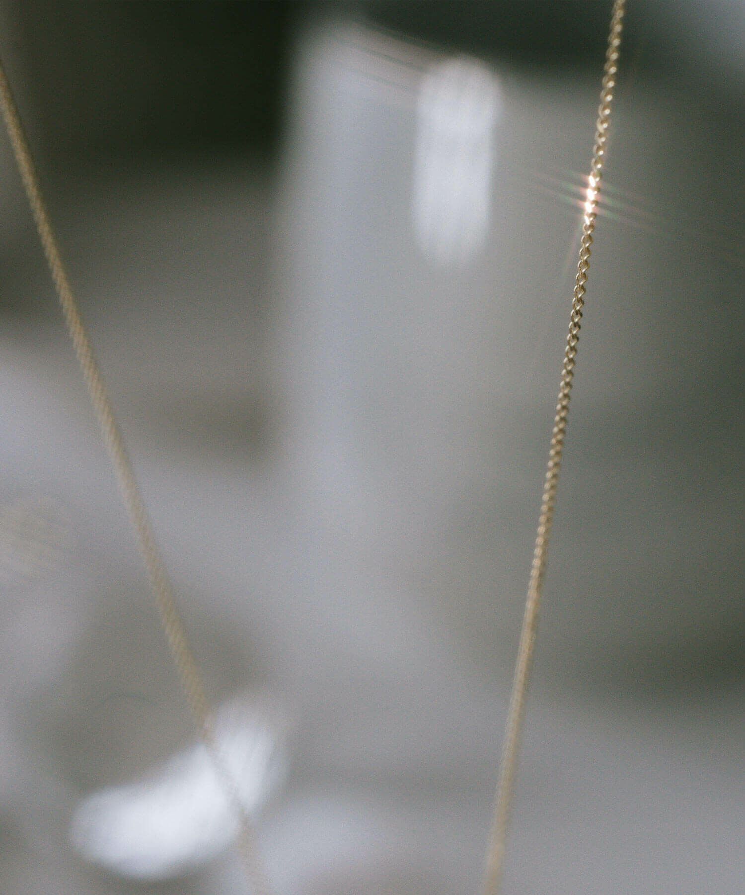 コインネックレスK1010Kレディースライオンアニマルモチーフ【rafolio-leoneラフォリオ・レオネ】コインネックレス金貨メダル10金リバーシブルネックレスゴールドネックレスゴールドペンダント丸ラウンド金属アレルギー対応小豆チェーン長さ45cm