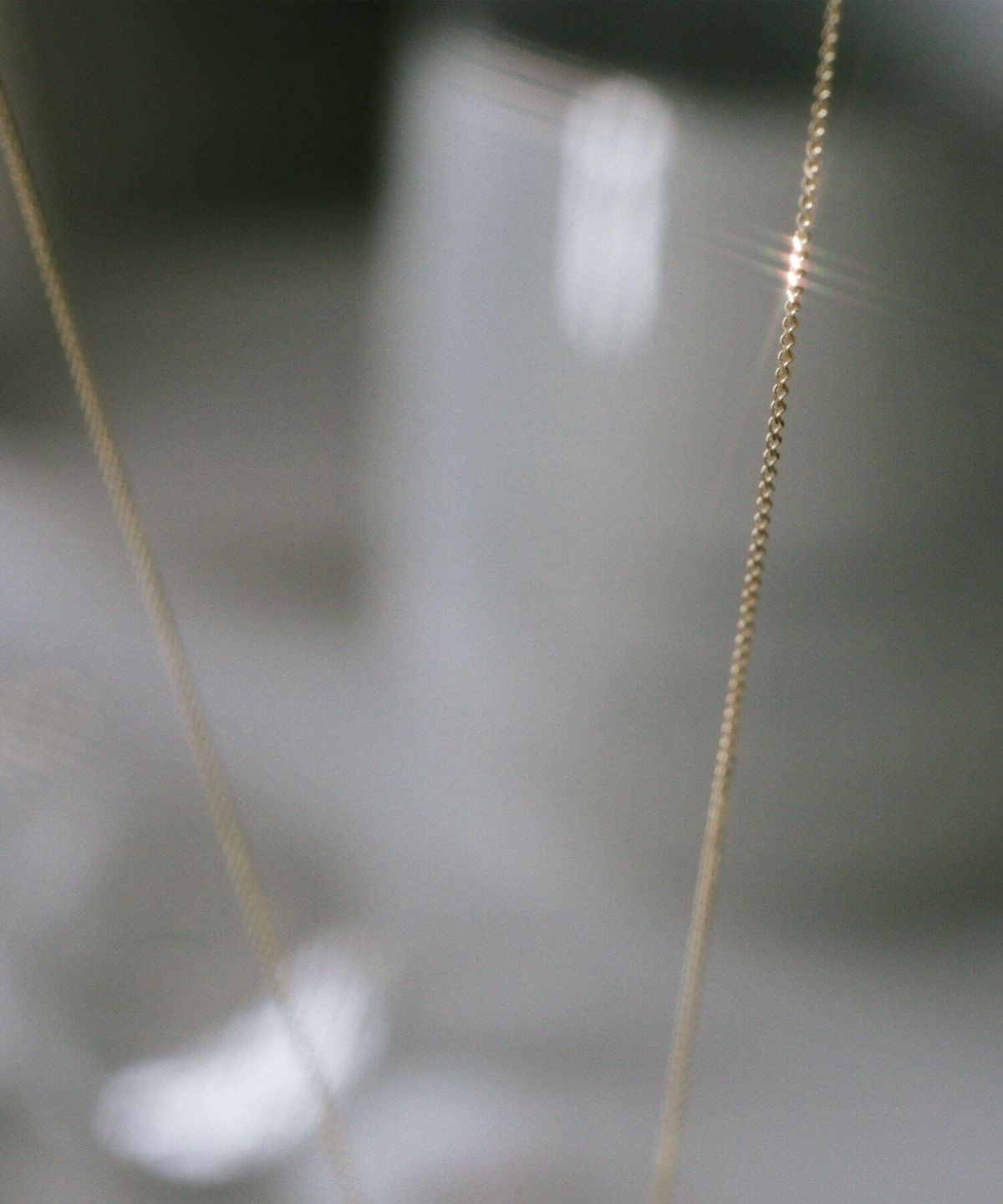 コインネックレスK1010Kレディースライオンアニマルモチーフ【rafolio-leoneラフォリオ・レオネ】コインネックレス金貨メダル10金リバーシブルネックレスゴールドネックレスゴールドペンダント丸ラウンド金属アレルギー対応小豆チェーン長さ45cm