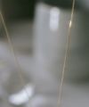 コインネックレスK1010Kレディースライオンアニマルモチーフ【rafolio-leoneラフォリオ・レオネ】コインネックレス金貨メダル10金リバーシブルネックレスゴールドネックレスゴールドペンダント丸ラウンド金属アレルギー対応小豆チェーン長さ45cm
