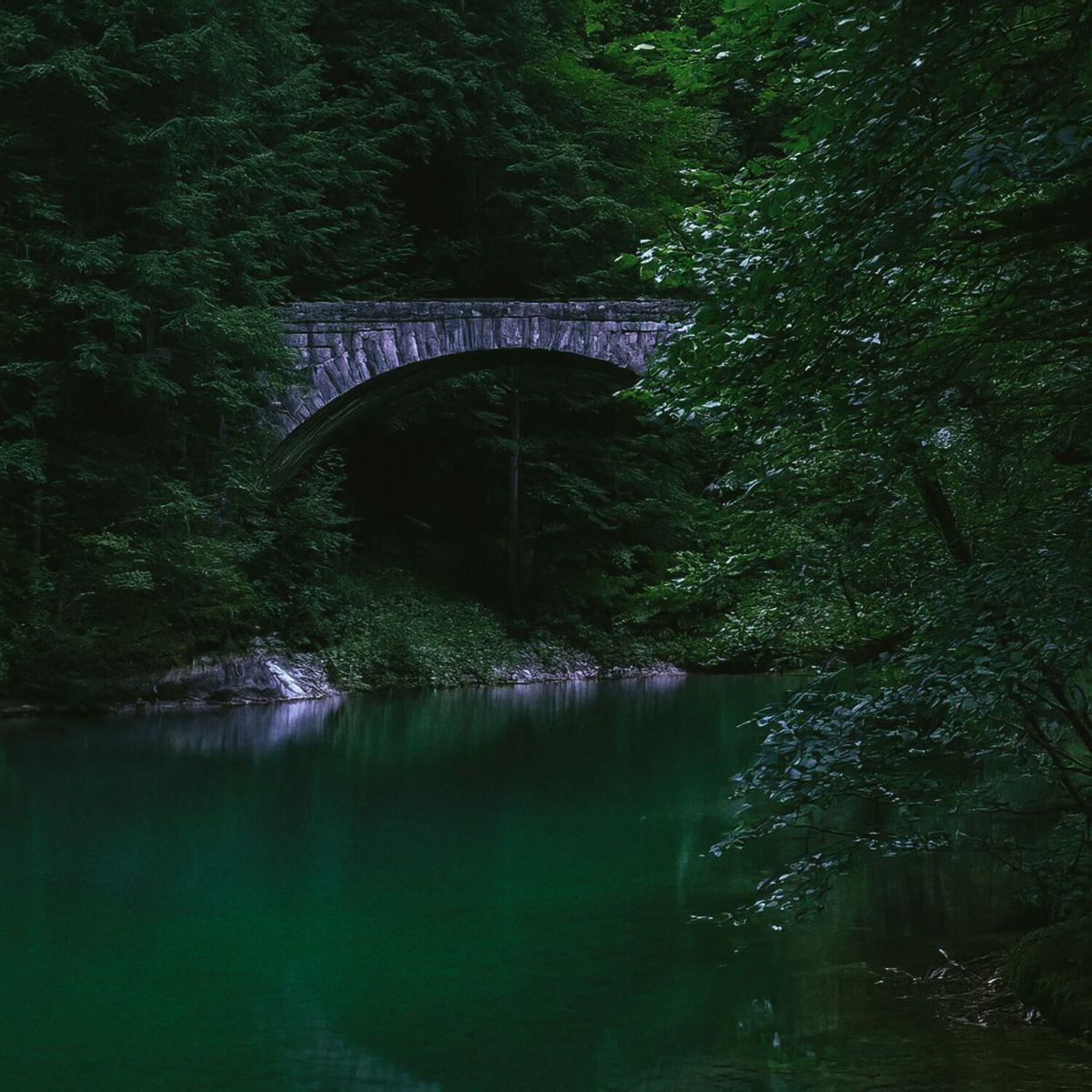 指輪 リング おしゃれ シンプル レディース シルバー925 ゴールド